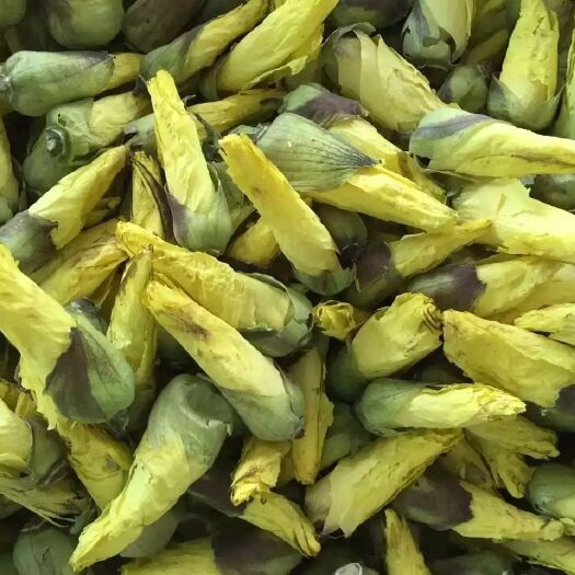 安国市秋葵花茶  金花葵山锦葵京兰葵黄秋葵花500克 黄葵花大蜀季