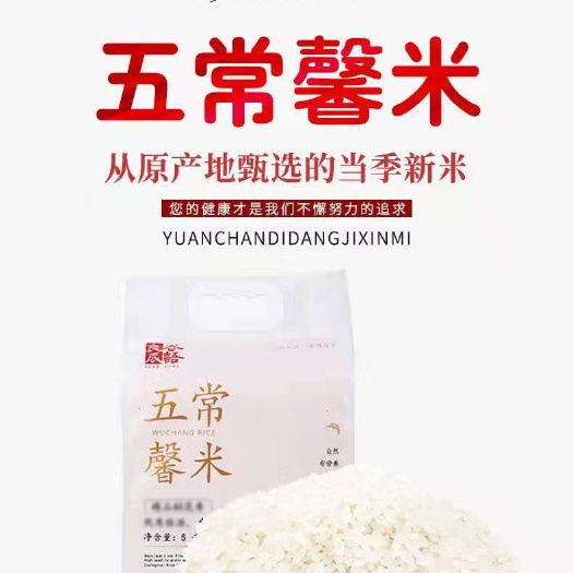 驻马店香米  东北优质大米