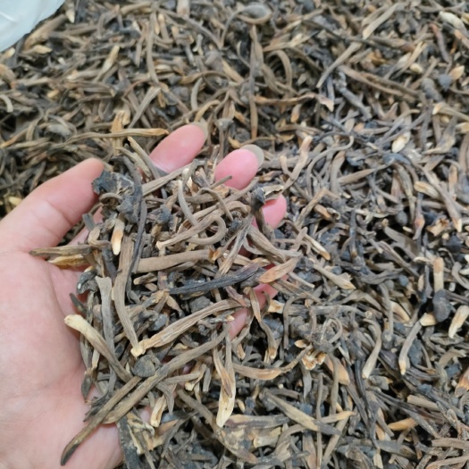 昆明鸡枞菌  给皮小鸡枞
