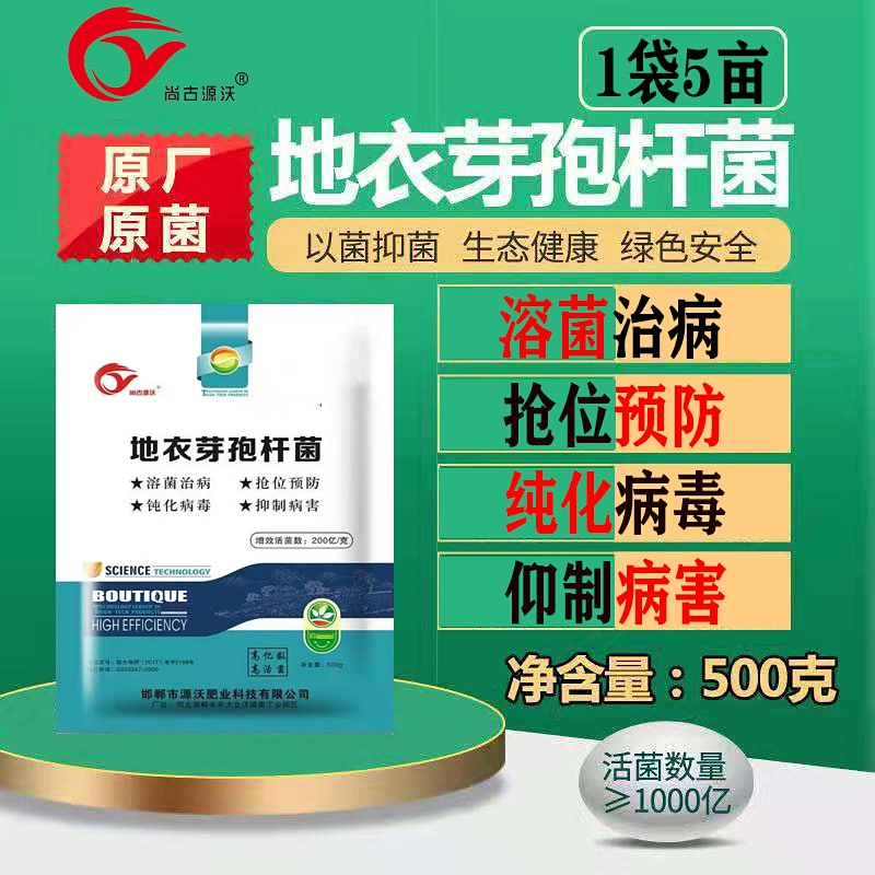 地衣芽孢杆菌 原厂地衣芽孢杆菌原菌 以菌抑菌 生态健康