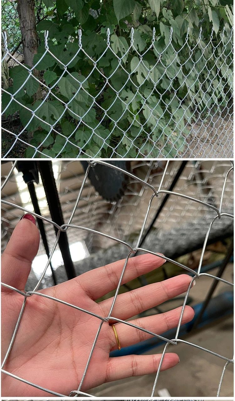 荷兰网  热镀锌养香猪鸡鸭鹅防护网养殖网圈地圈山网围栏网铁丝