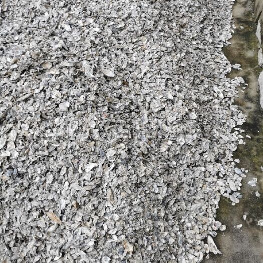 滦南县贝壳粉  水洗脱盐纯牡蛎壳粉，细粉、超细粉，单体包装40公斤/袋。