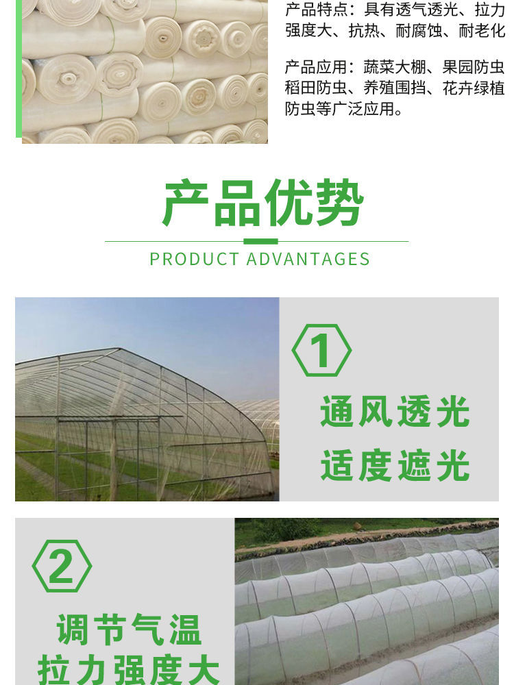 防虫防鸟网蔬菜大棚果园防虫网养殖防蚊蝇网40目60目80目