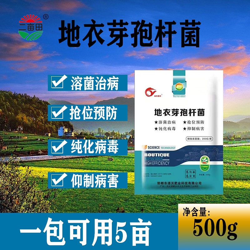 地衣芽孢杆菌 原厂地衣芽孢杆菌原菌 以菌抑菌 生态健康