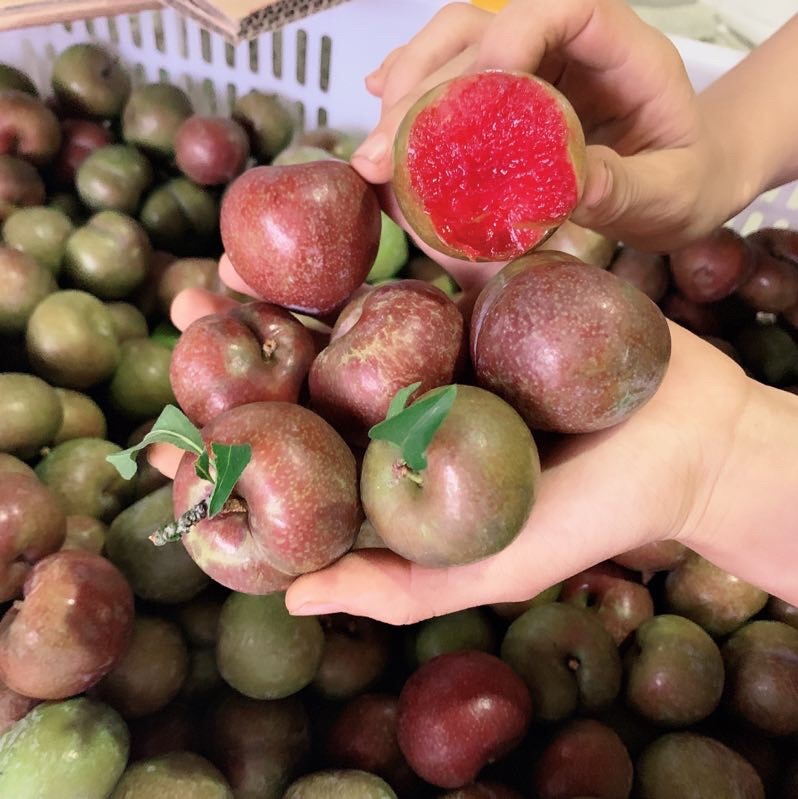 福建三华李非钱排三华李广东翁源三华李5斤三华李鸡血李