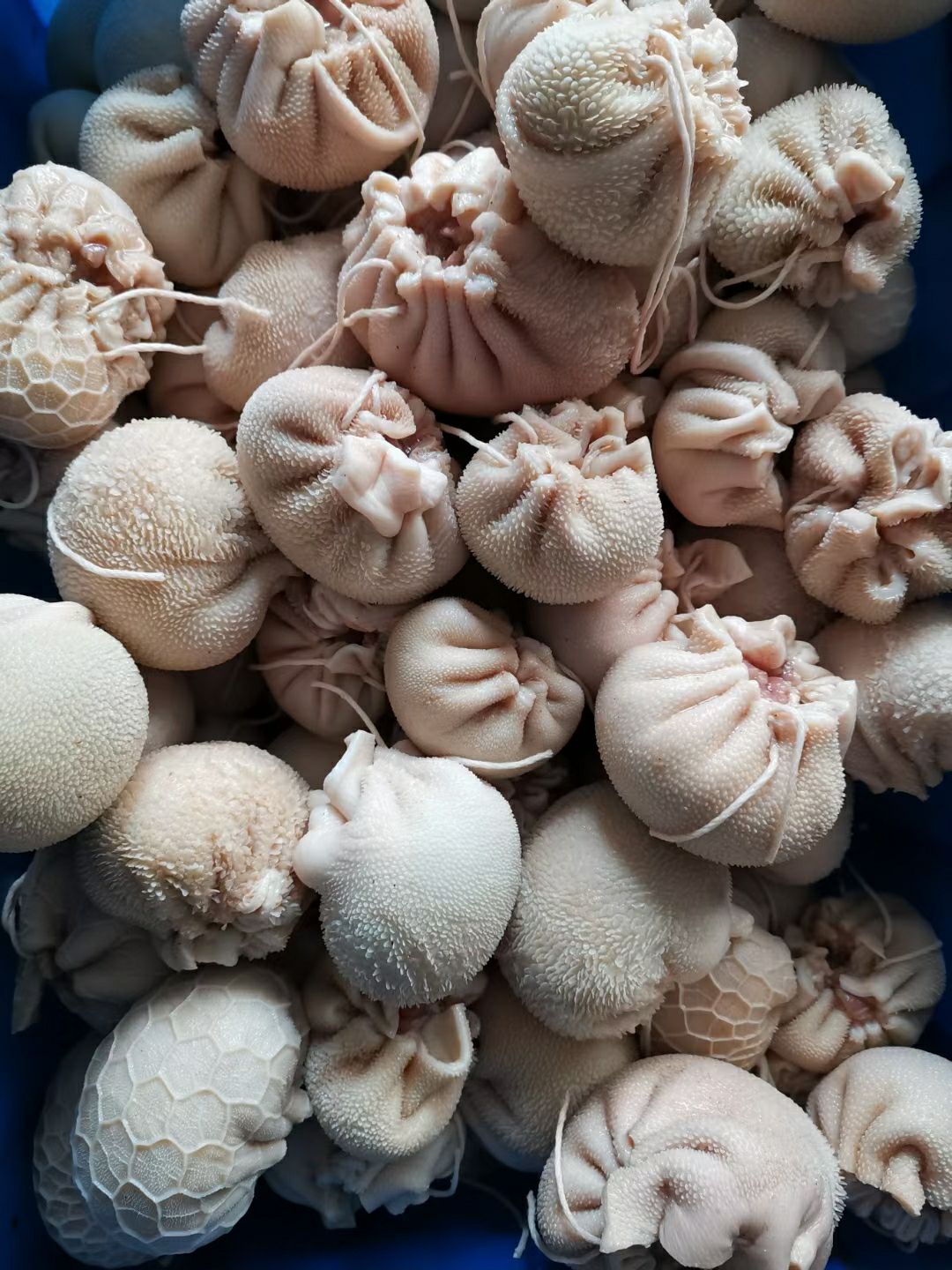 羊肚包肉