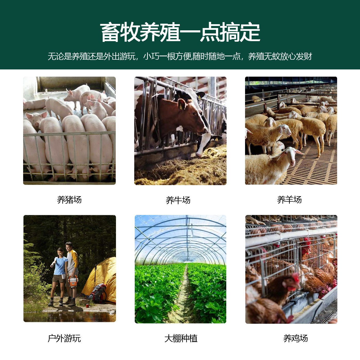 畜牧蚊香猪圈蚊香蝇香养殖场专用牛羊鸡兽用养猪场灭蚊蝇棒香