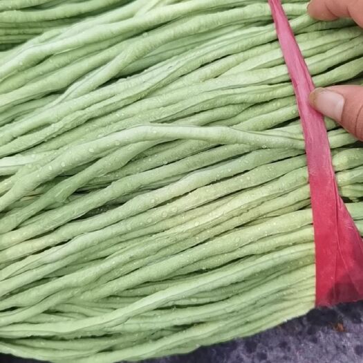 汝州市 长豆角
