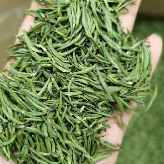 雀舌茶  翠芽 青针 包邮