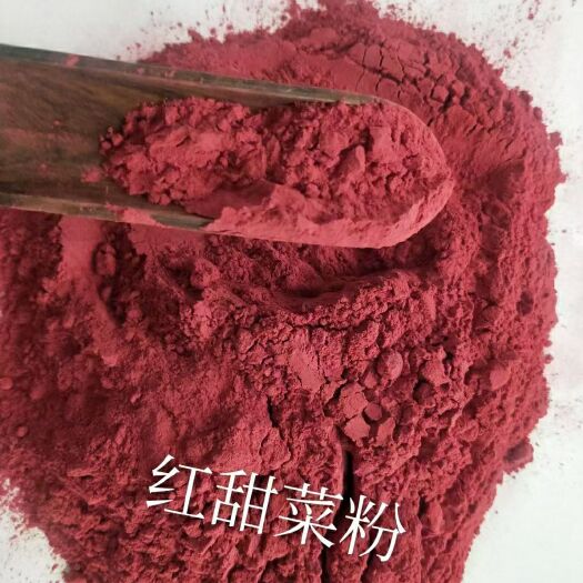 冠县脱水甜菜 