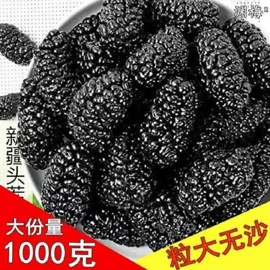 桑葚干【新货】新疆特产吐鲁番桑葚果干黑桑葚干批发泡水