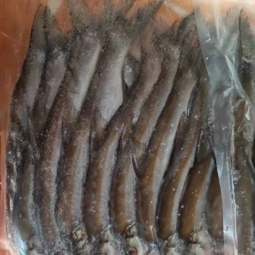 岳阳刁子鱼干 冰鲜中刁子鱼