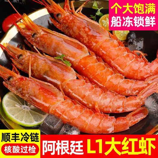 泰安阿根廷红虾大红虾海鲜水产新鲜冷冻大虾鲜冻海虾