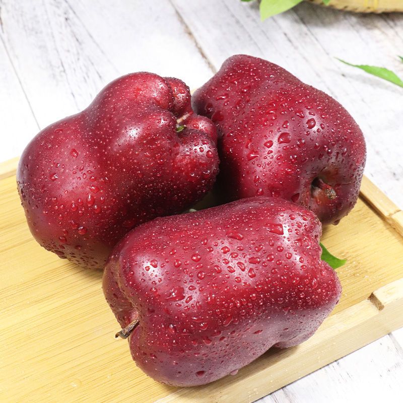 甘肃花牛苹果批发整箱粉面刮泥应季现摘新鲜苹果水果（包邮）