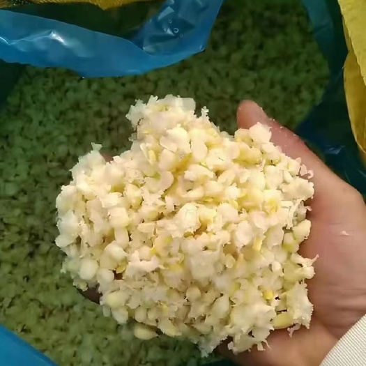 石家庄玉米渣  熟玉米，采用超市食用的糯玉米