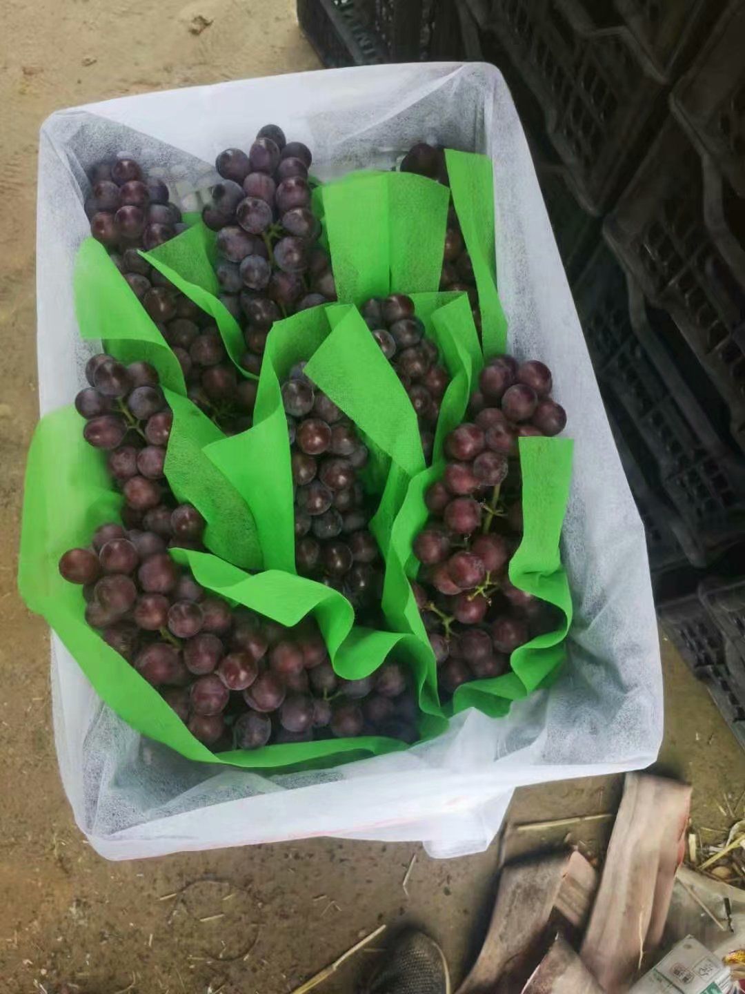 夏黑葡萄