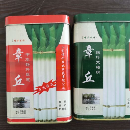 济南中华巨葱种子  中华铁杆巨葱章丘大葱种子 铁杆大梧桐章丘大葱