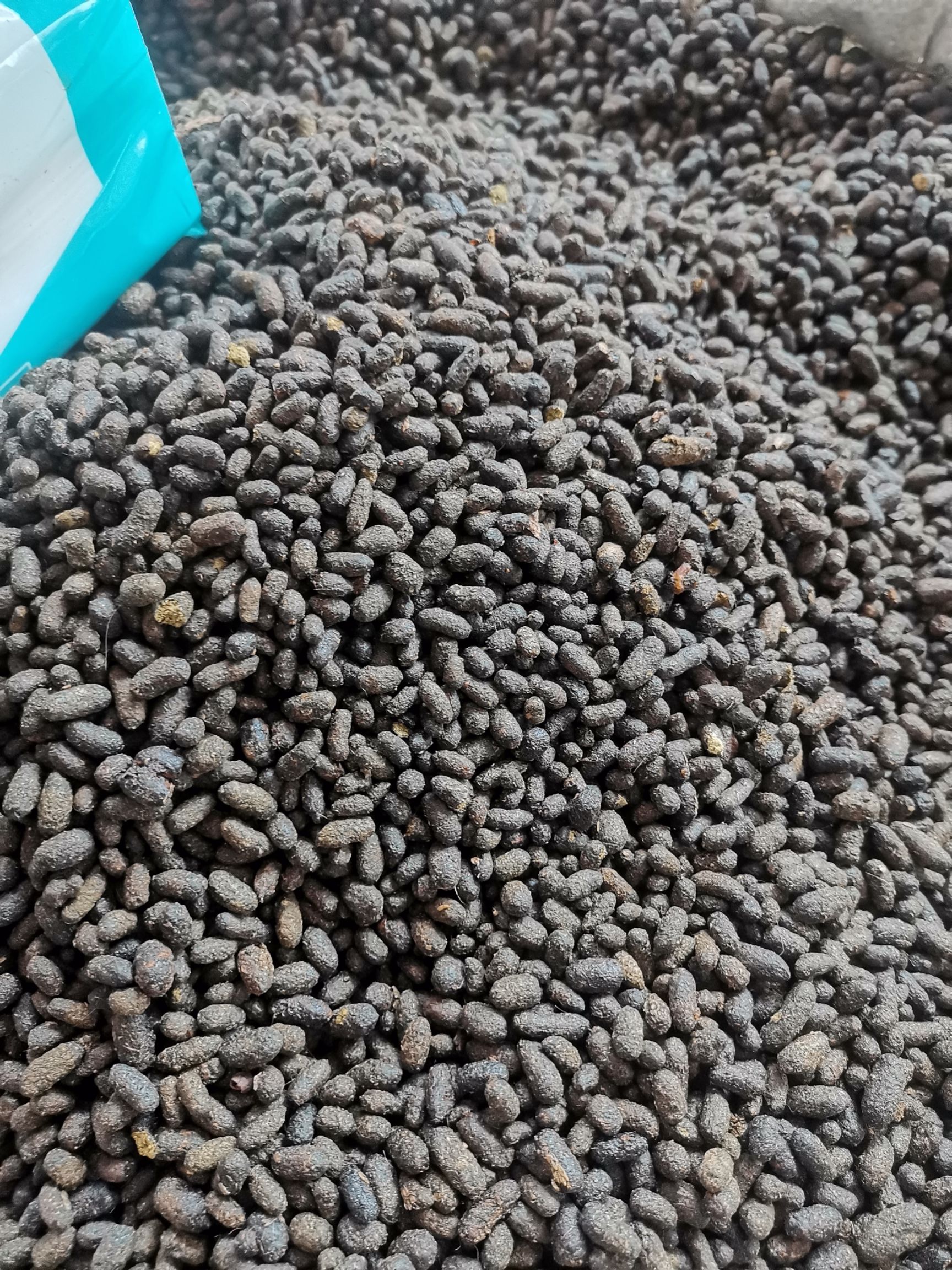 五灵脂中药材 五灵脂 寒雀粪 灵脂 非醋灵脂 灵脂米 灵脂