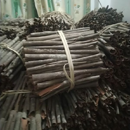 罗定市普通桂皮 桂皮