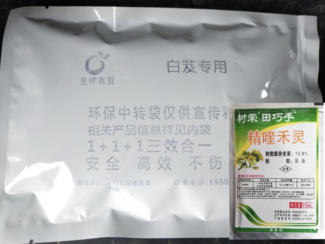 紫花白芨苗  白芨除草剂 白芨专用除草剂 白芨苗后除草剂