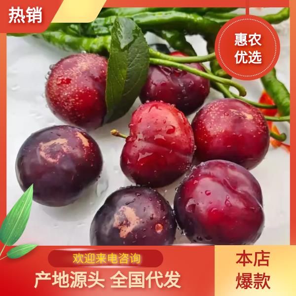 布朗李/黑布林大量上市，欢迎各位老板前来采购