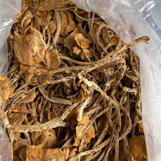 兴义市茶树菇开伞和没有开伞的 干货