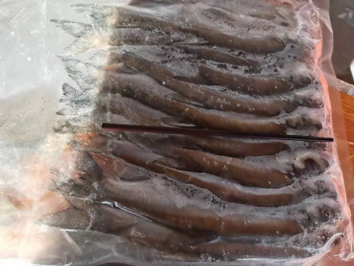 刁子鱼干 冰鲜中刁子鱼