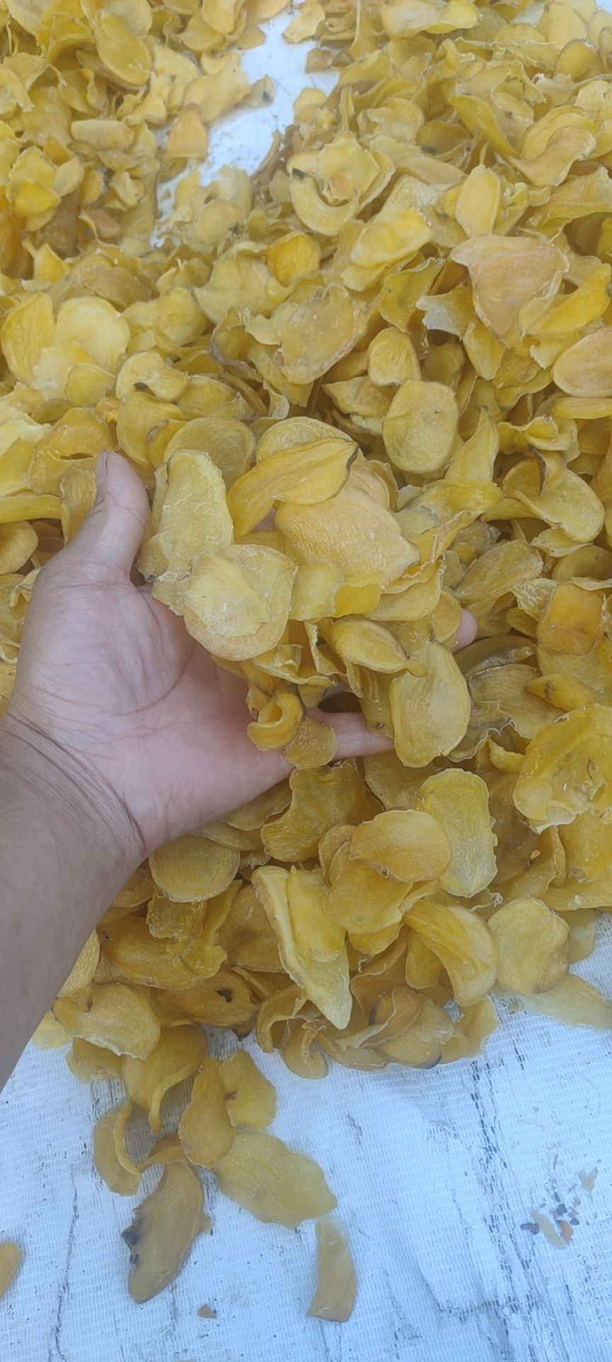 干土豆片  高山土豆烘干的土豆片、农户晒干的，