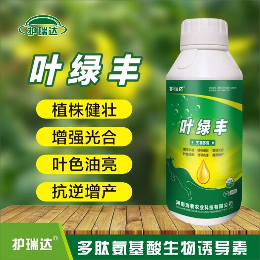 新郑市叶面肥  护瑞达®——叶绿丰  叶片肥厚 叶面油绿促进光合作用