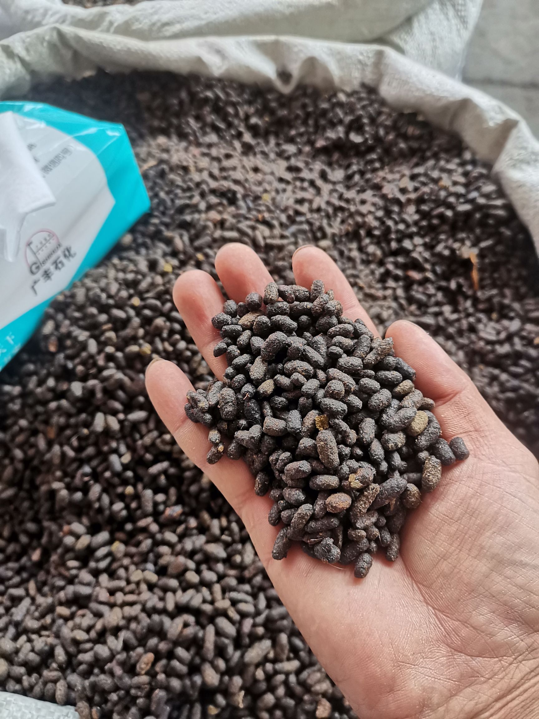 五灵脂中药材 五灵脂 寒雀粪 灵脂 非醋灵脂 灵脂米 灵脂