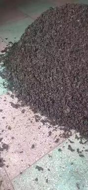 常年大量批发机器筛选，易水洗地皮菜，身干无杂，一斤可泡十斤