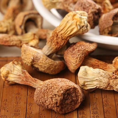 干松茸 今年新货姬松茸无熏硫食用野生菌菌干货松茸干货仿野生菌