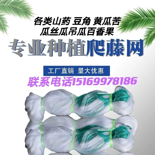 无棣县【爬藤网加粗线】粗九股黄瓜苦瓜丝瓜吊瓜百香果用网攀爬种植网