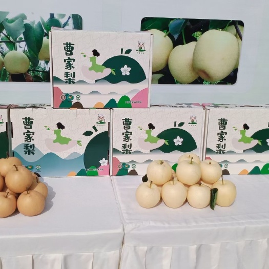 仁寿县黄金梨  曹家梨