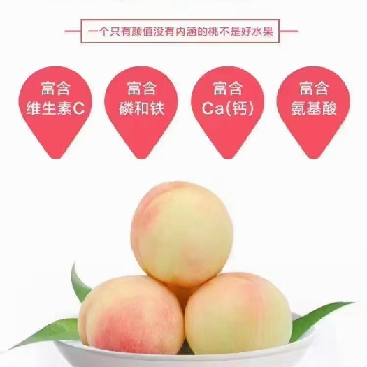 无锡晚湖景桃  无锡阳山水蜜桃，紫衣果园。