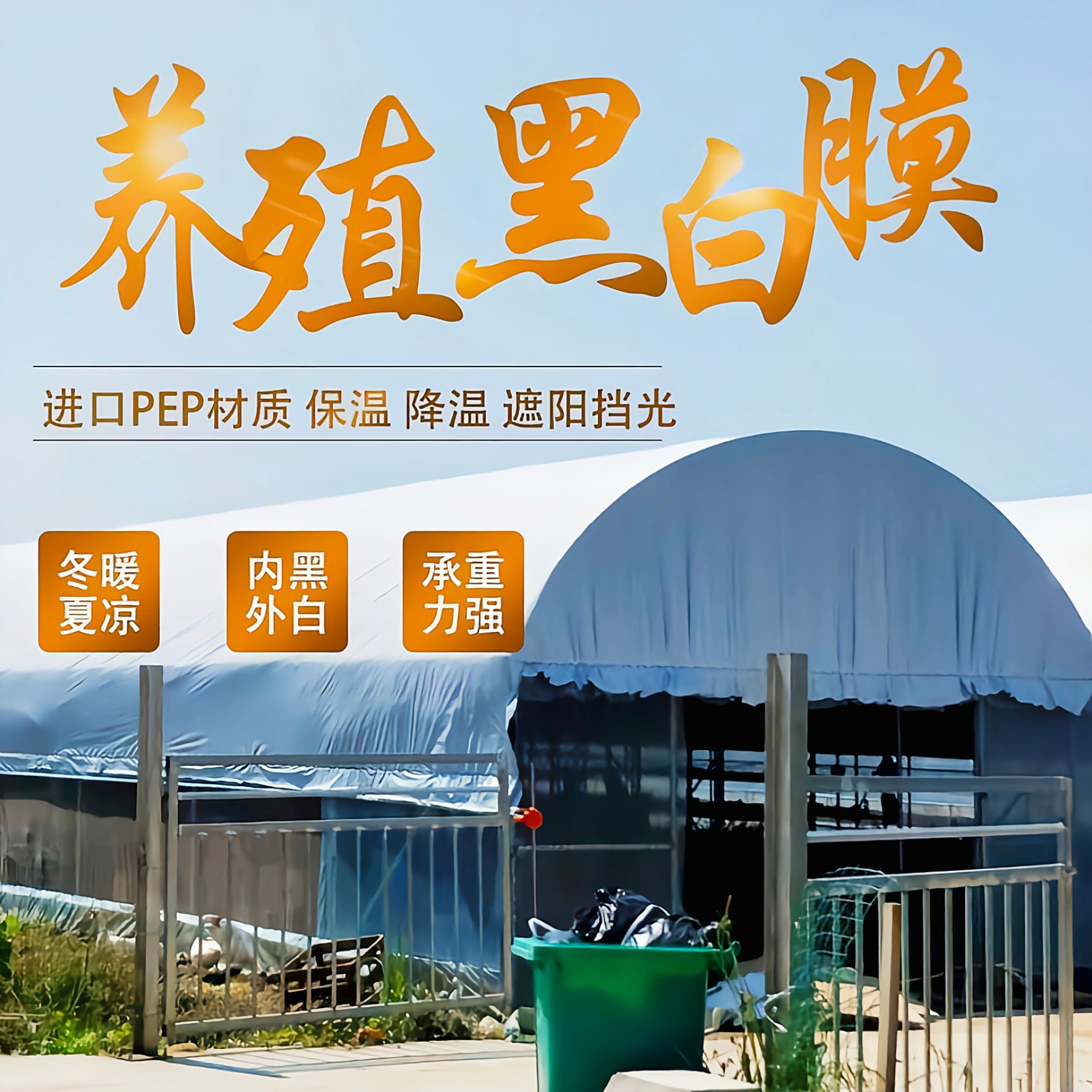 棚膜  黑白膜 种植大棚、养殖大棚、菌类大棚专用膜、青储覆盖