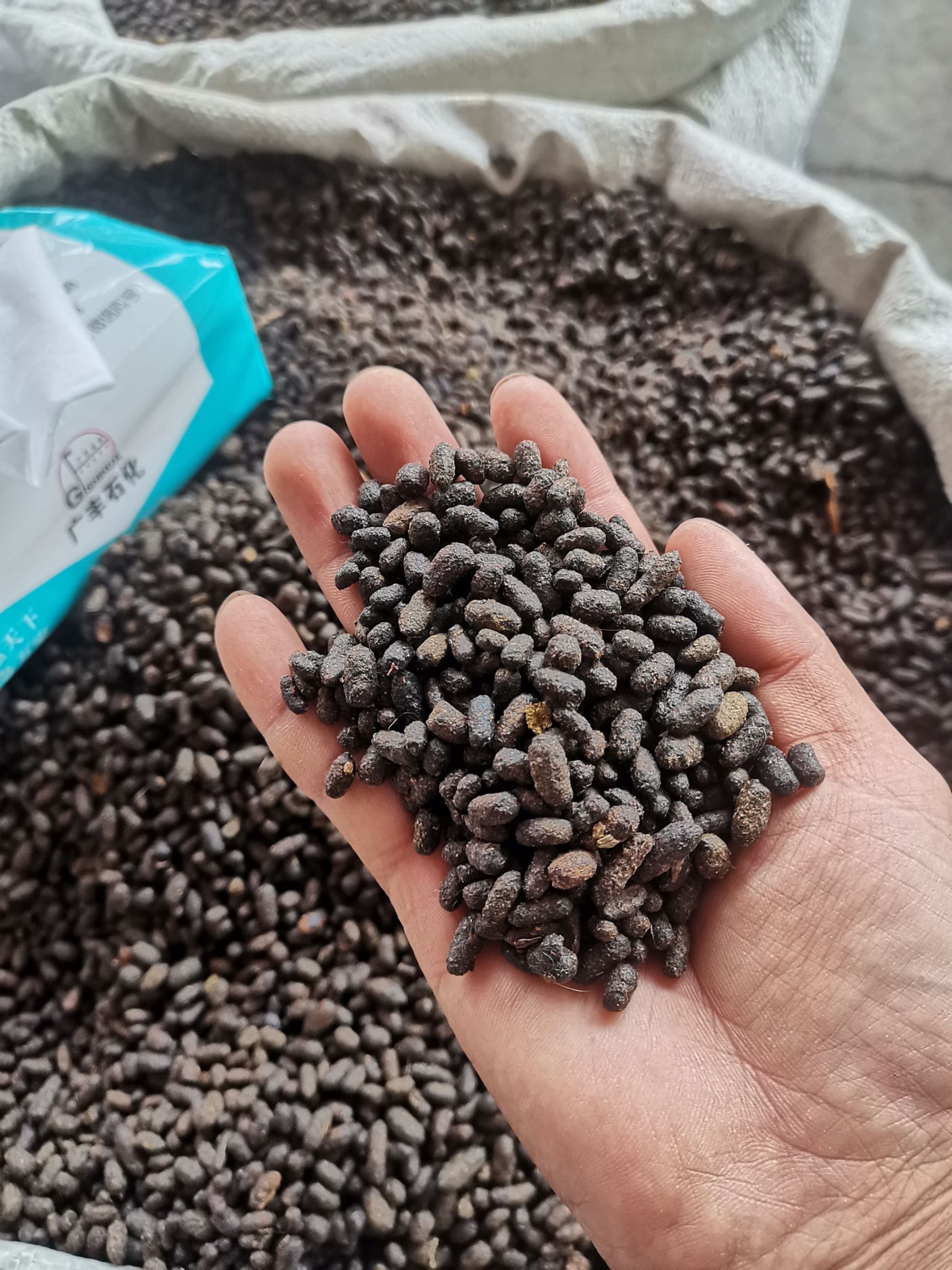 五灵脂中药材 五灵脂 寒雀粪 灵脂 非醋灵脂 灵脂米 灵脂