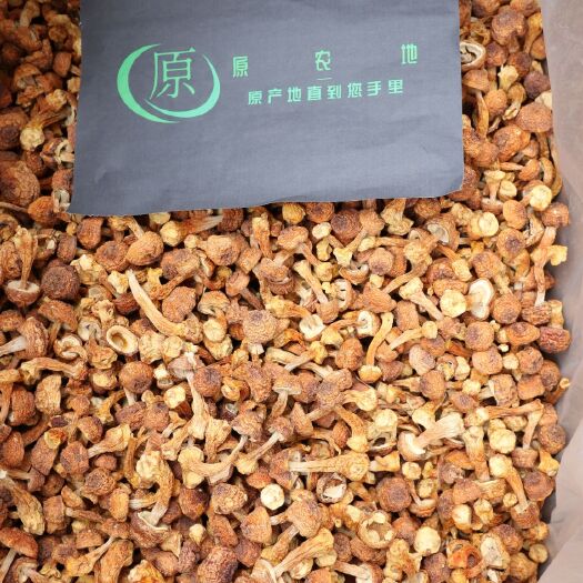 兴义市姬松茸  巴西菇金黄色 干货