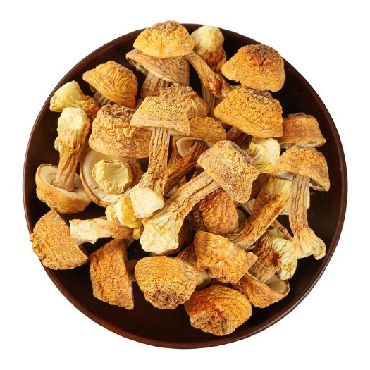 干松茸 今年新货姬松茸无熏硫食用野生菌菌干货松茸干货仿野生菌