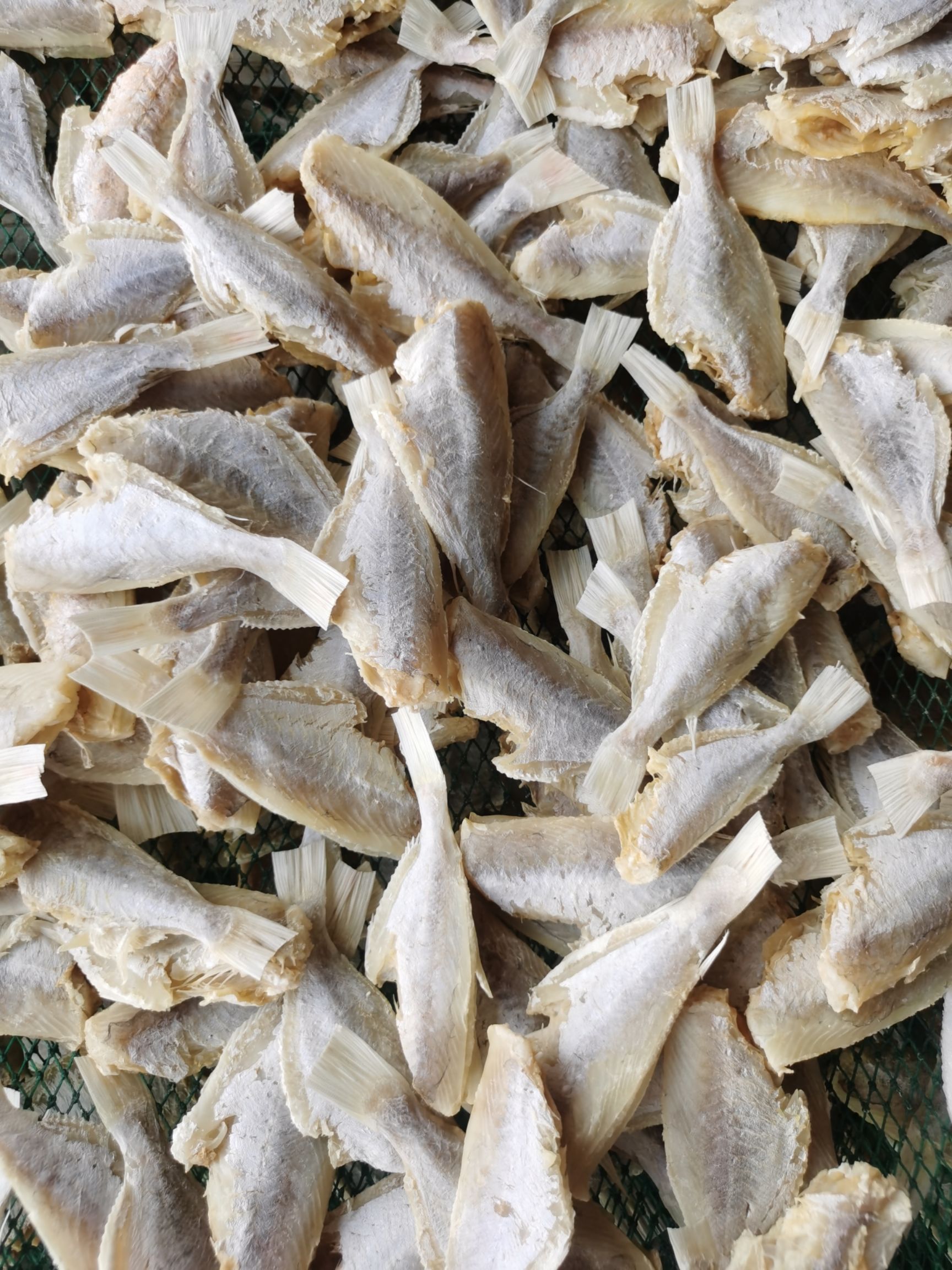 剥皮鱼干批发大眼鸡干批发红目鲢鱼干批发咸鱼干批发