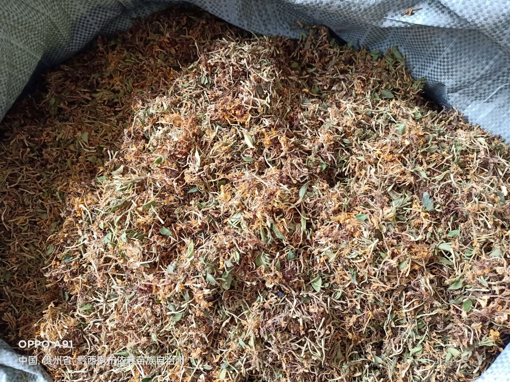 产地贵州安龙金银花太阳晒干，药食两用，大量上市，量大从优。