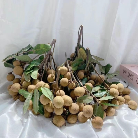 灵山县桂圆干 龙眼干
