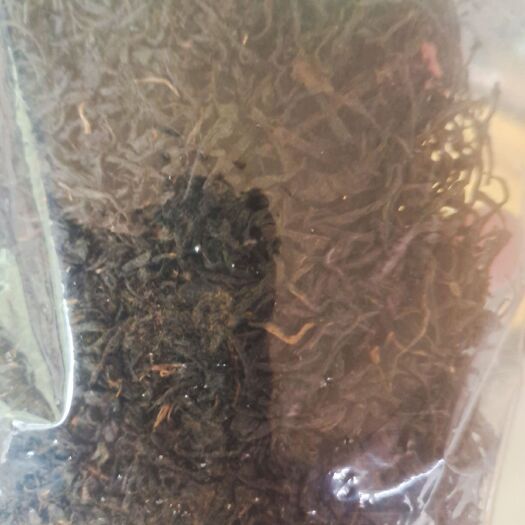 缙云县正山小种  高山红茶