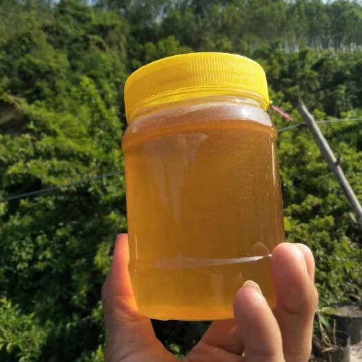景洪市野蜂蜜  西双版纳热带雨林的蜂蜜挂蜜，天然，只负责采摘，供货