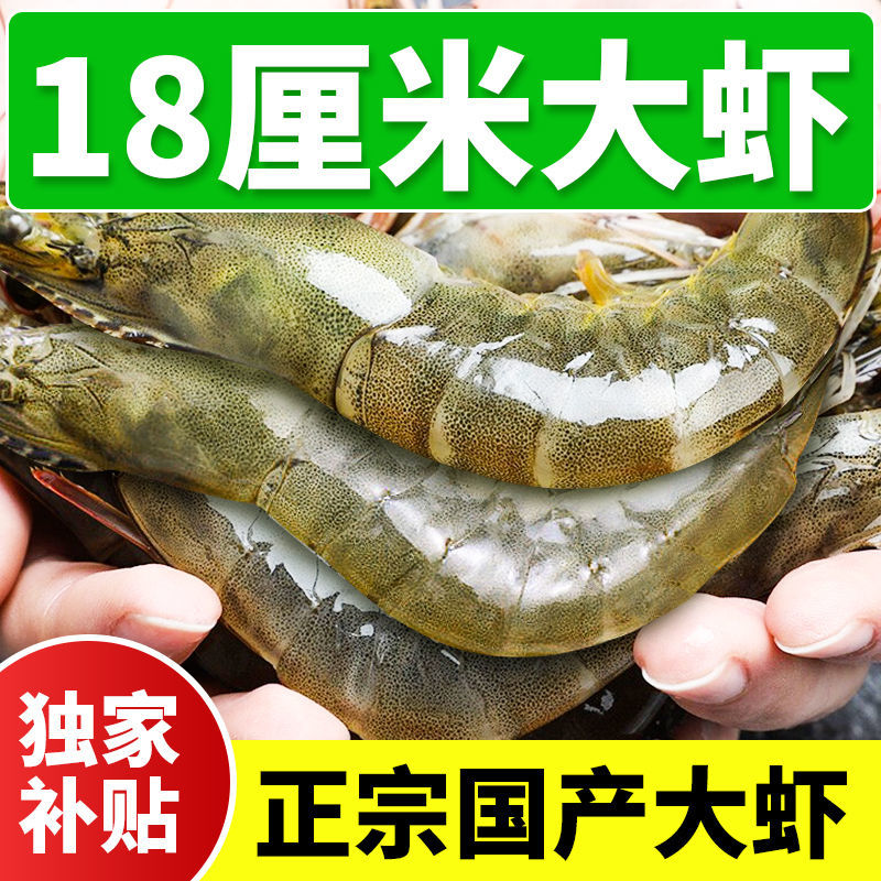对虾  冰鲜部族青岛大虾虾子鲜活新鲜海鲜特大号4斤
