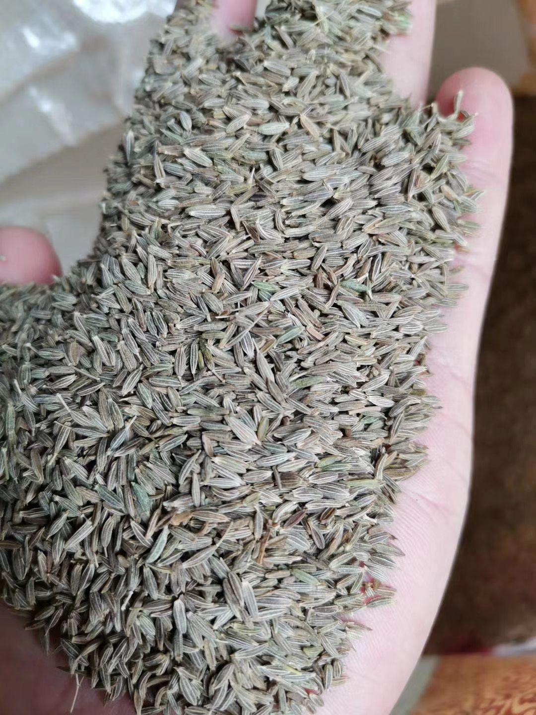 孜然 孜然粉 新疆孜然 烧烤料大全 香辛料批发