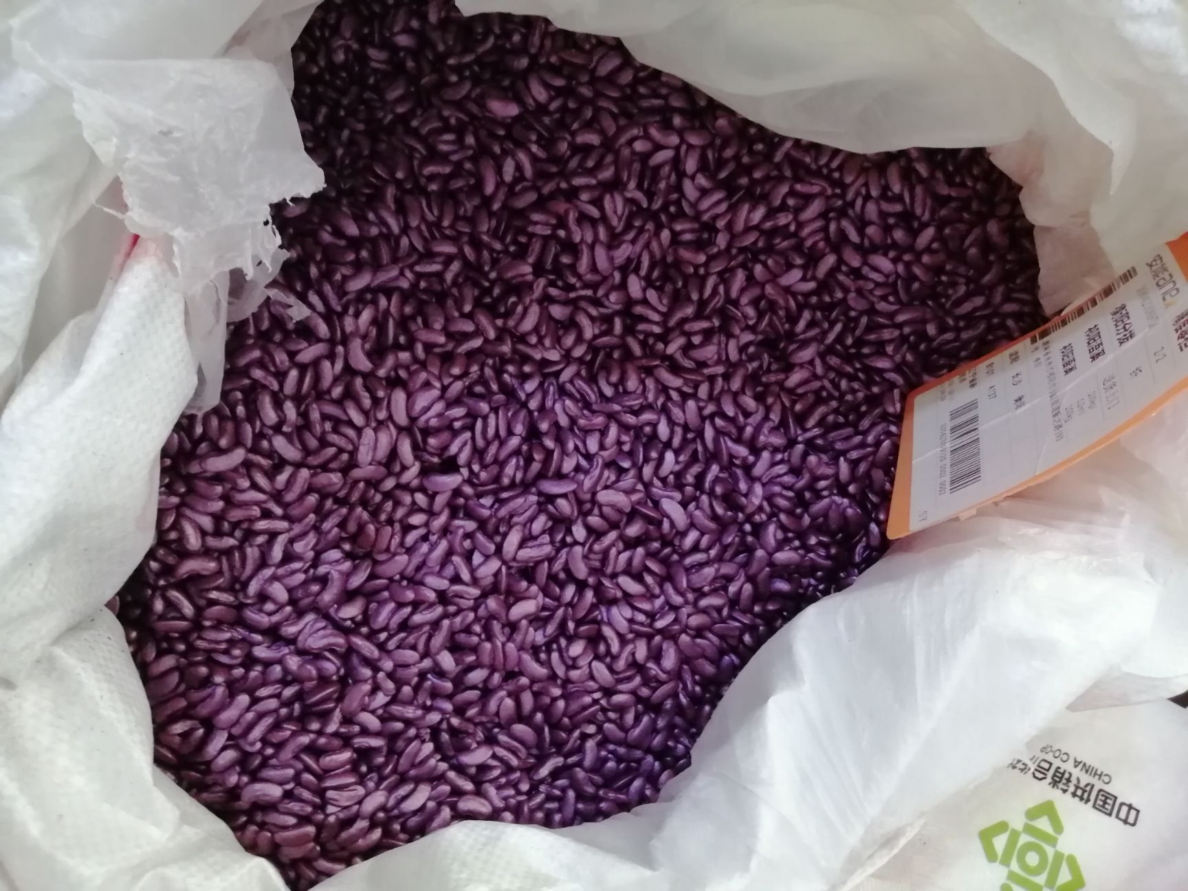 紫红豇豆种子 无架豇豆种子不搭架长豆角种子