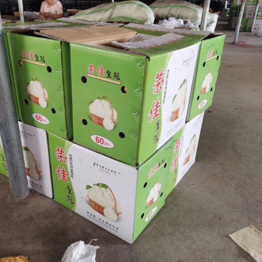 辛集市皇冠梨 精品皇冠