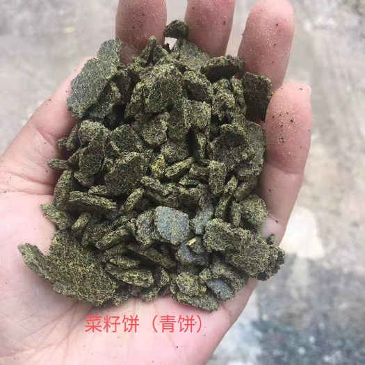 石家庄胚芽饼 菜籽饼（青饼，黄饼）