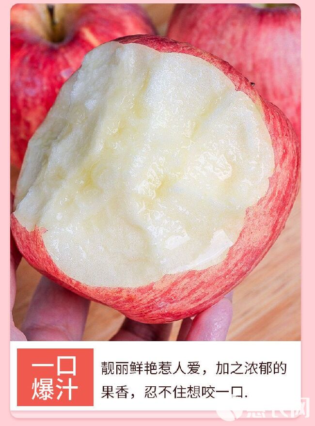 红富士苹果  洛川苹果红富士水果脆甜冰糖心整箱批发当季一